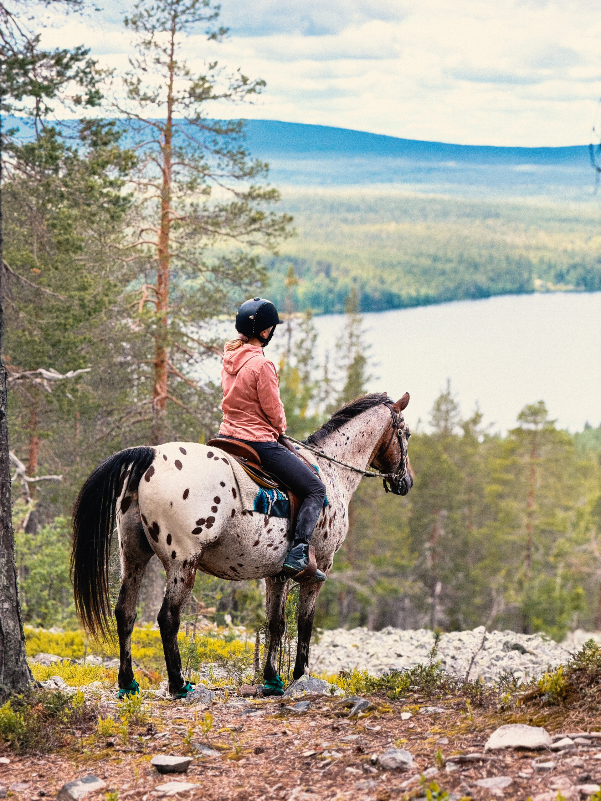 Lucky Ranchilla – Parkkonen (3)